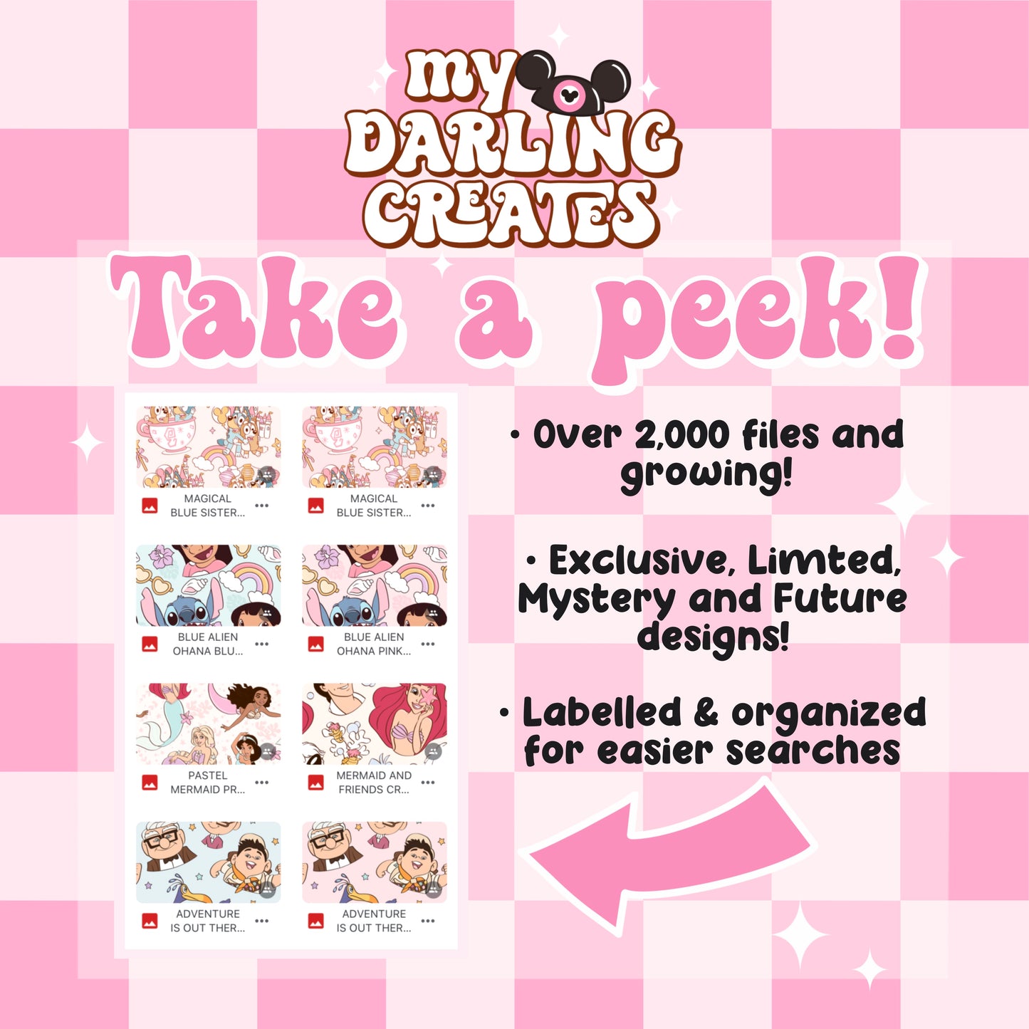 Annual Full Access Drive Subscription